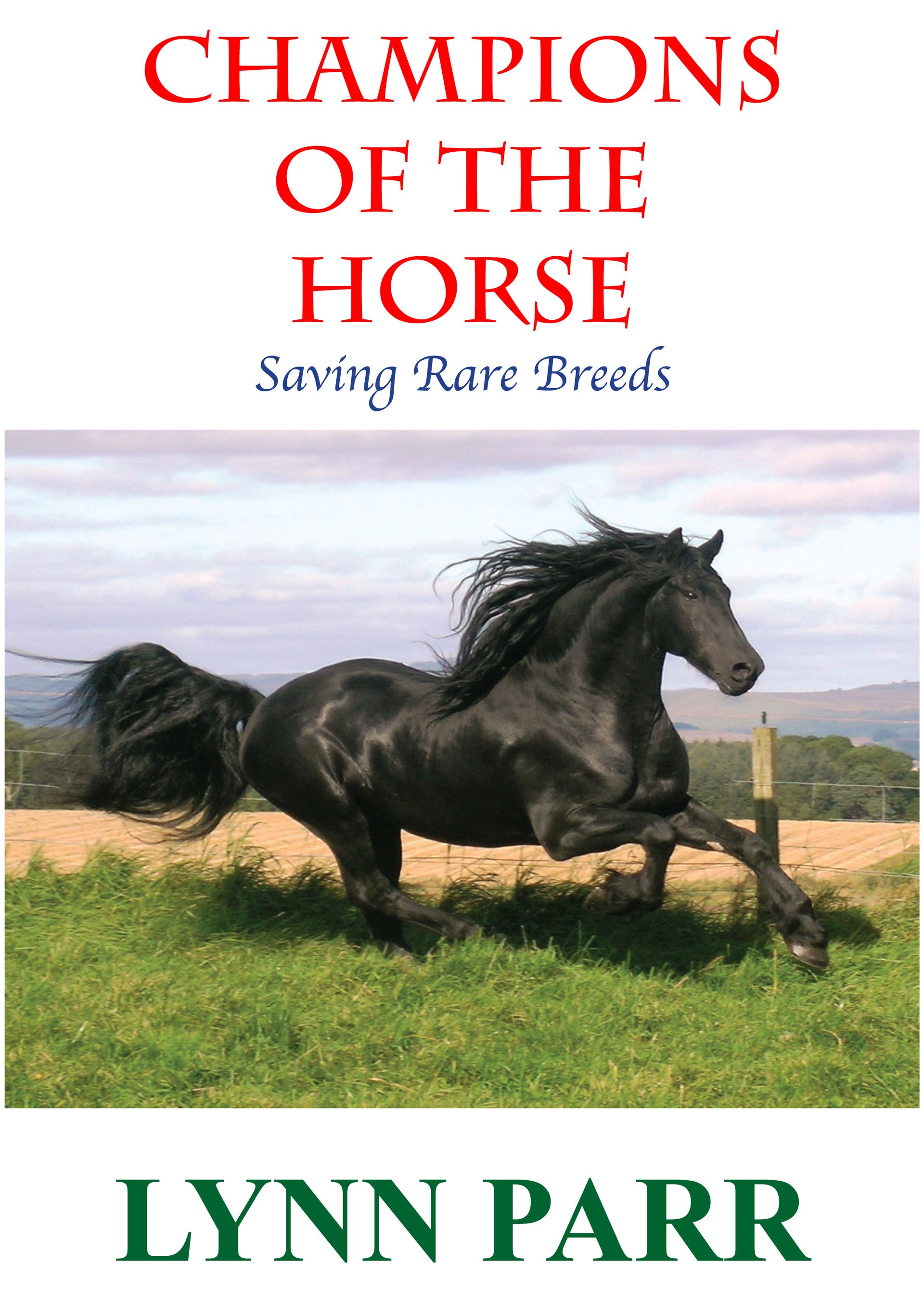 Champions of the Horse by Lynn Parr