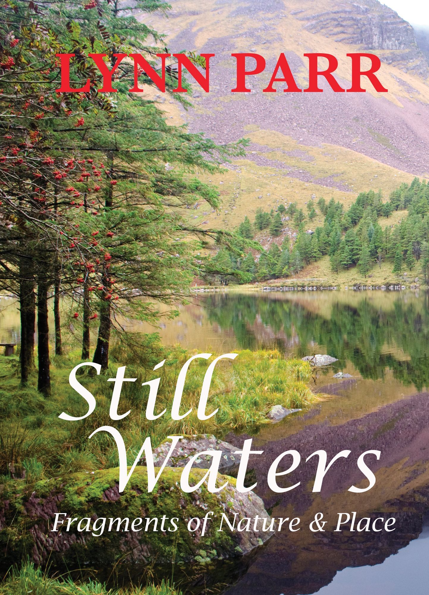 Still Waters by Lynn Parr