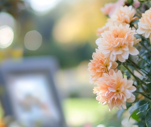 cremation services Kingston, WA