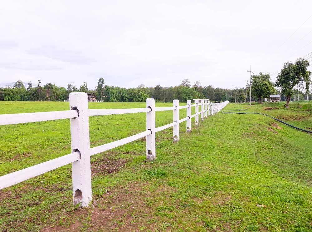 Green Pastures With White Concrete Fence — Lawrence Williams Fencing in Tenterfield, NSW