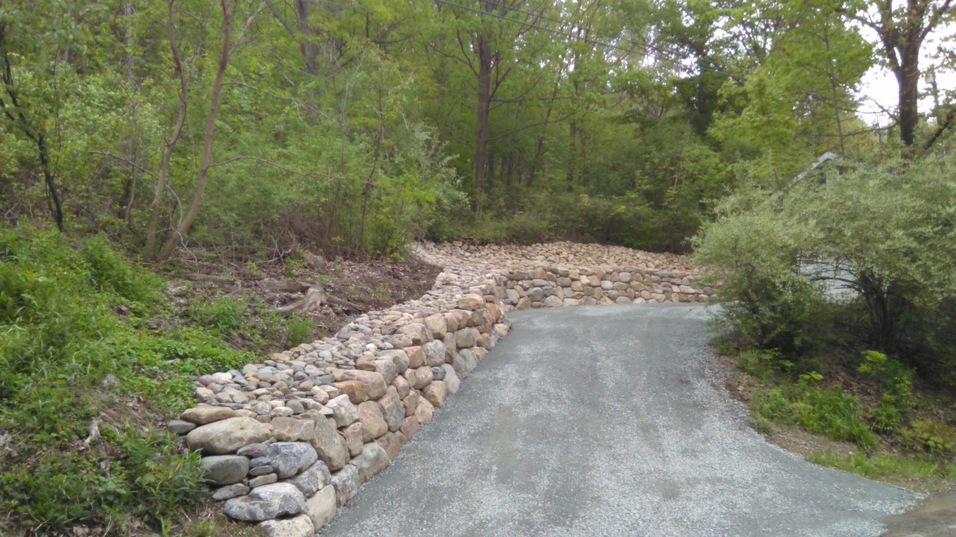 A gravel road surrounded by trees and rocks in the middle of a forest