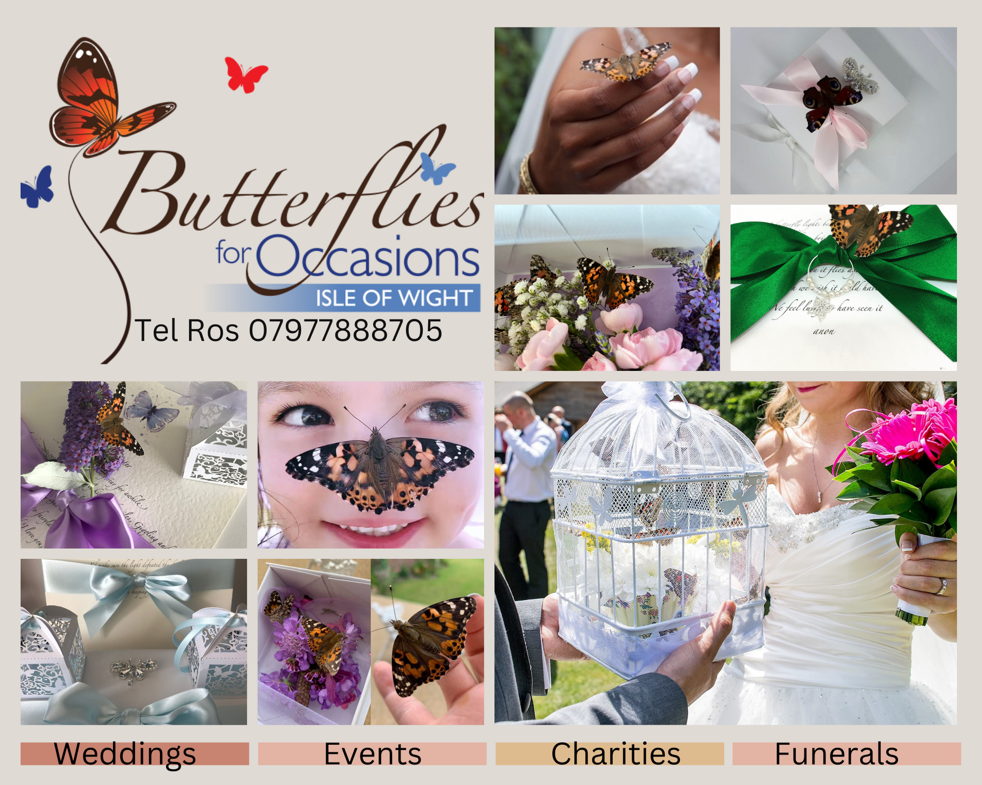 Butterflies for Occasions flyer with photos of butterflies used in events and weddings.