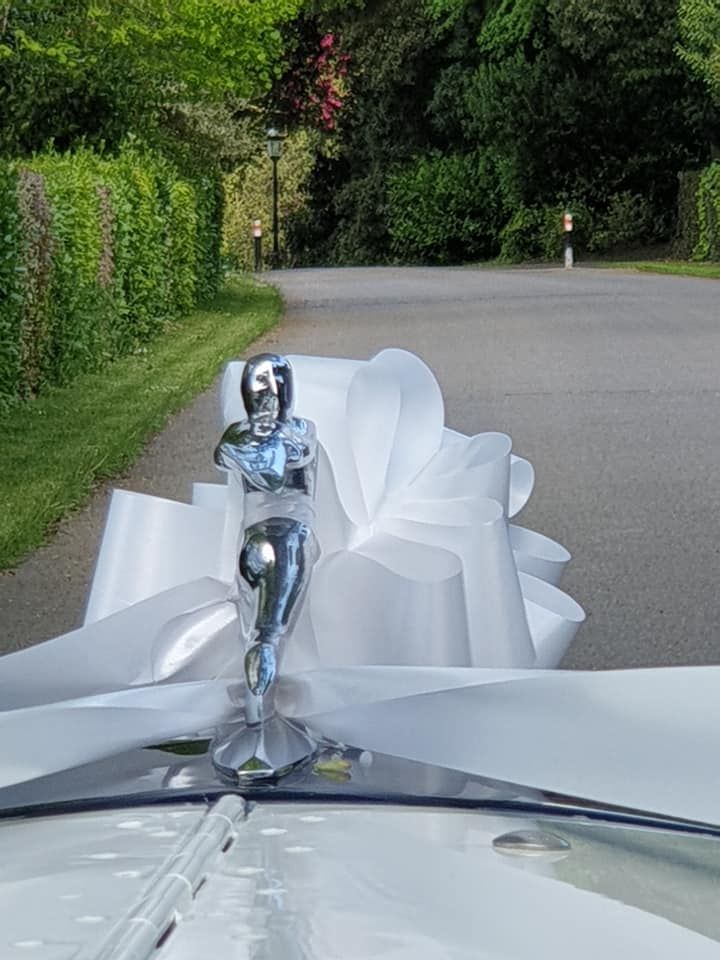 Silver hood ornament atop white car, with large white bow on hood; trees and road in background.
