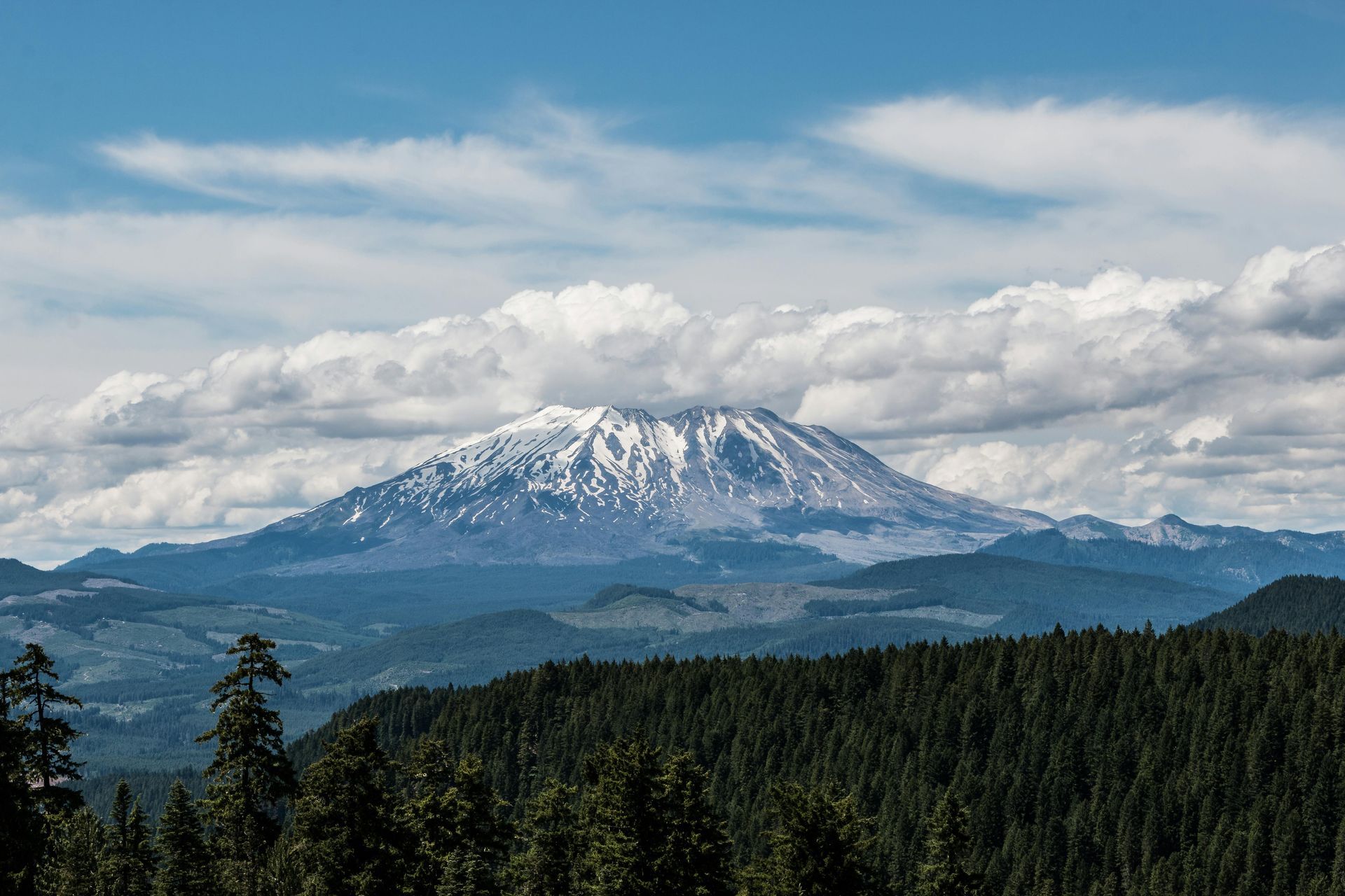 A mountain covered in snow is surrounded by trees on a cloudy day