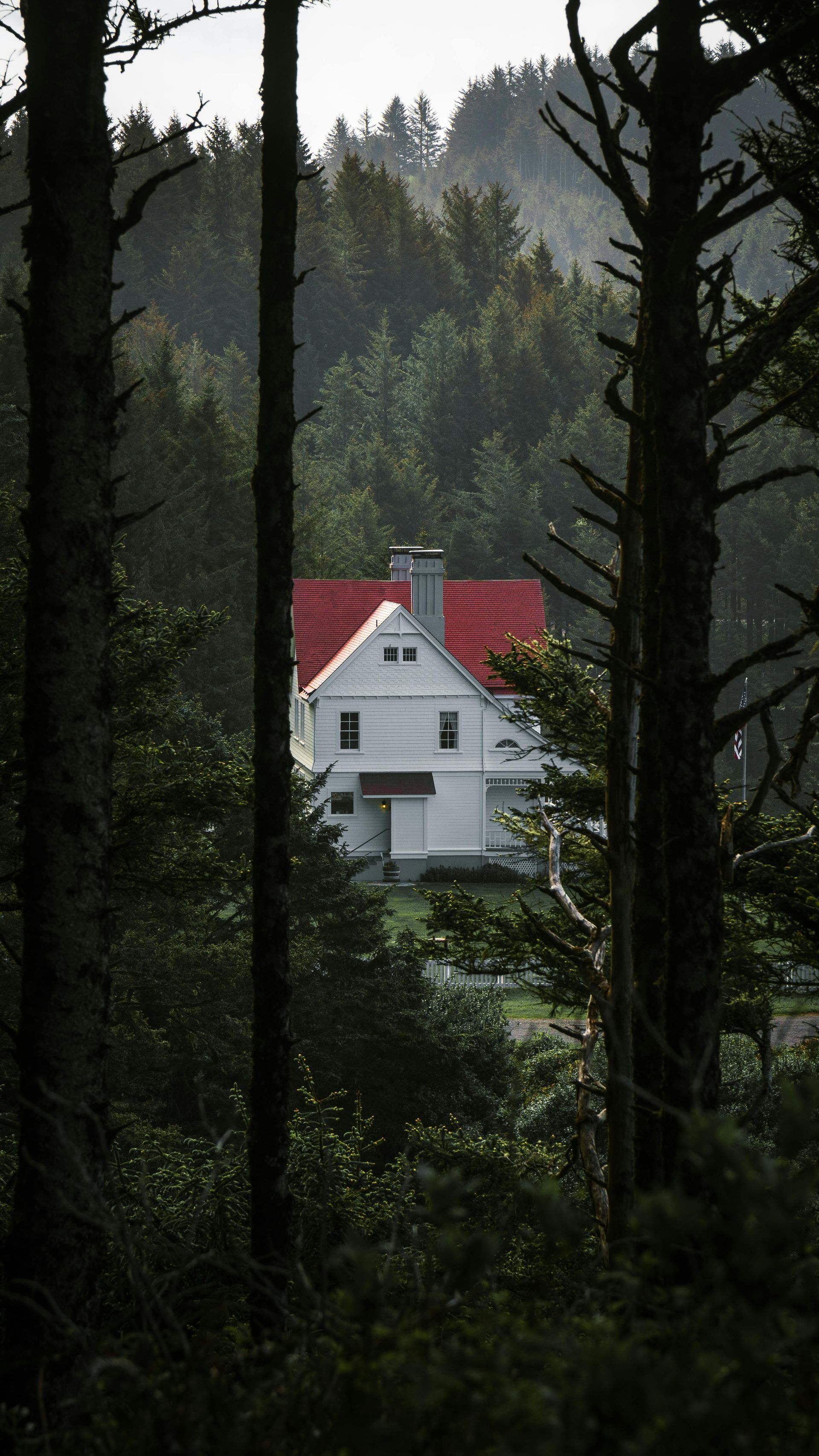 A white house with a red roof is in the middle of a forest.