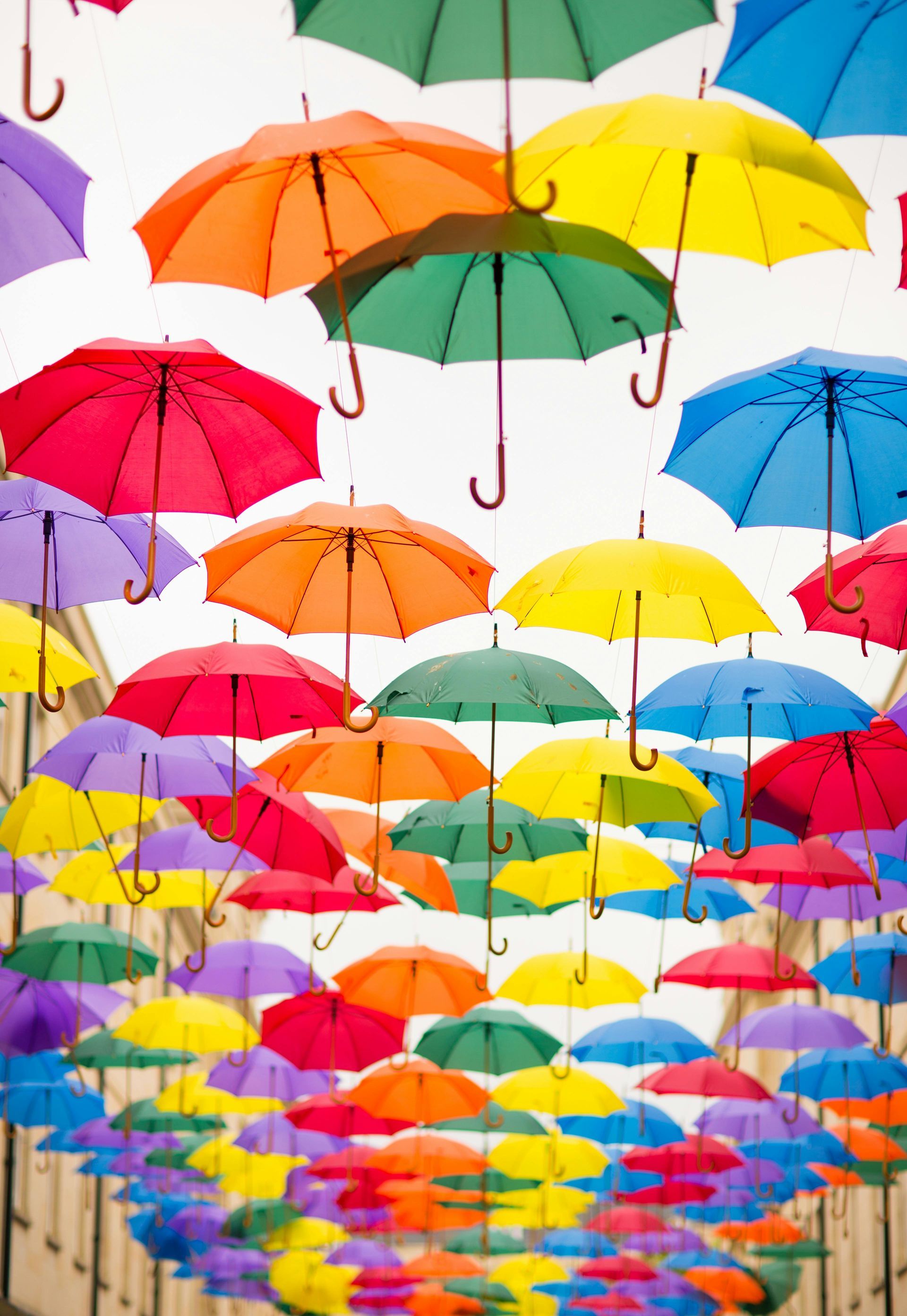 A bunch of colorful umbrellas are hanging from the ceiling.