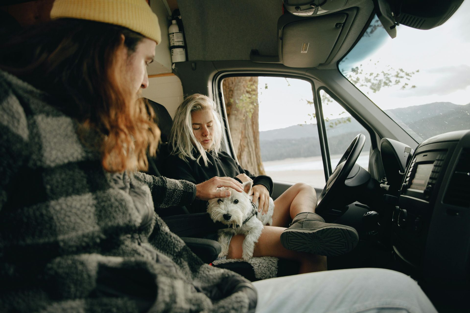 A man and a woman are sitting in a van with a dog.