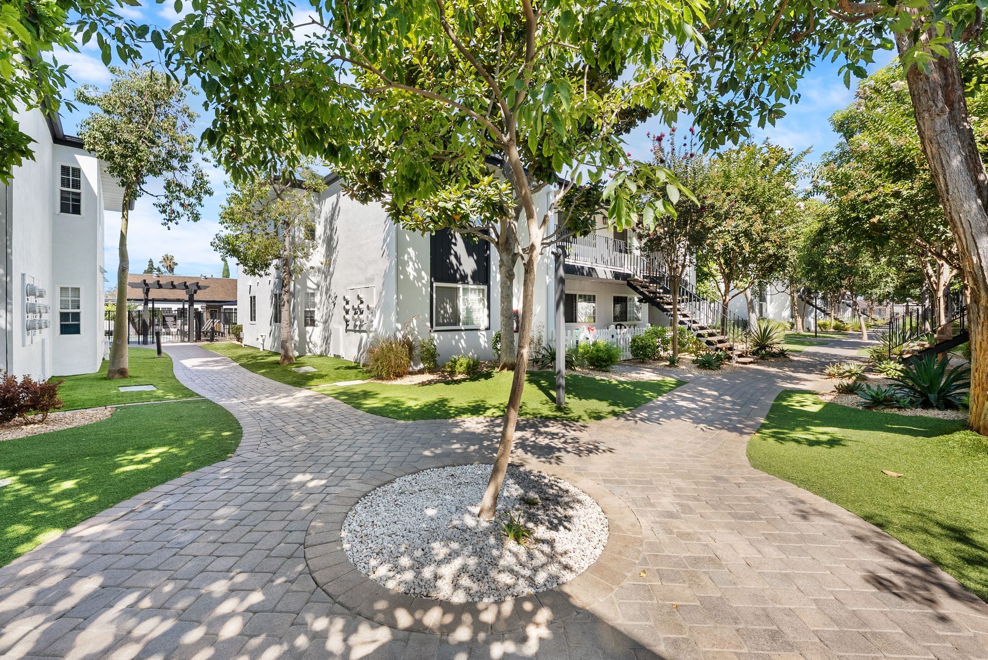 courtyard with tree