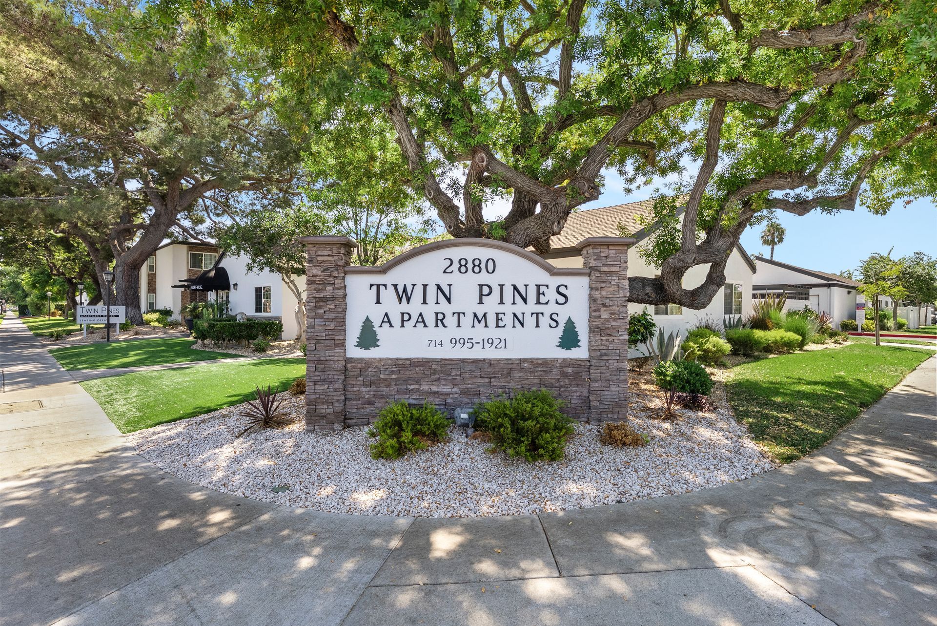 large tree and twin pines sign