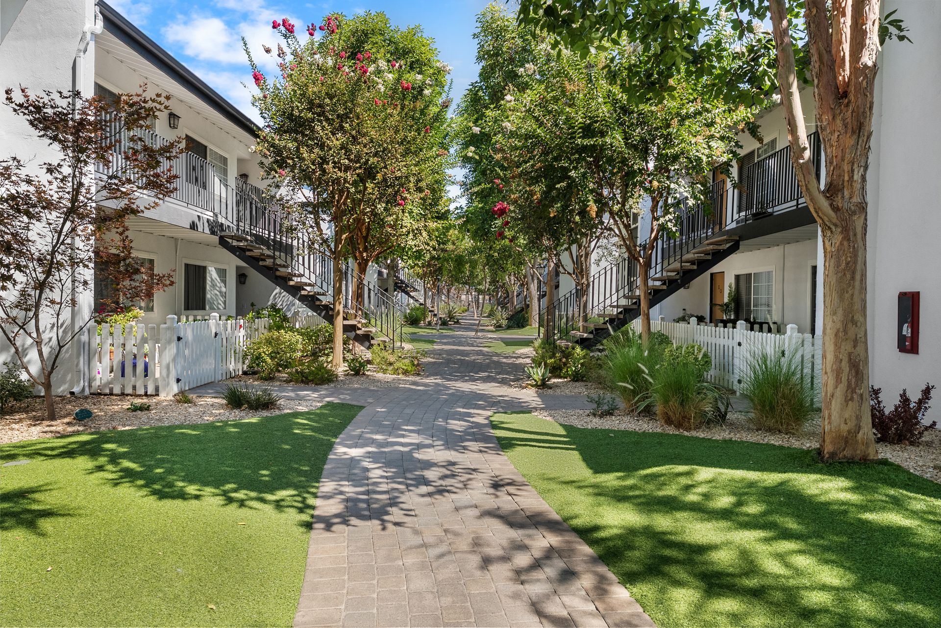 tree lined walkway