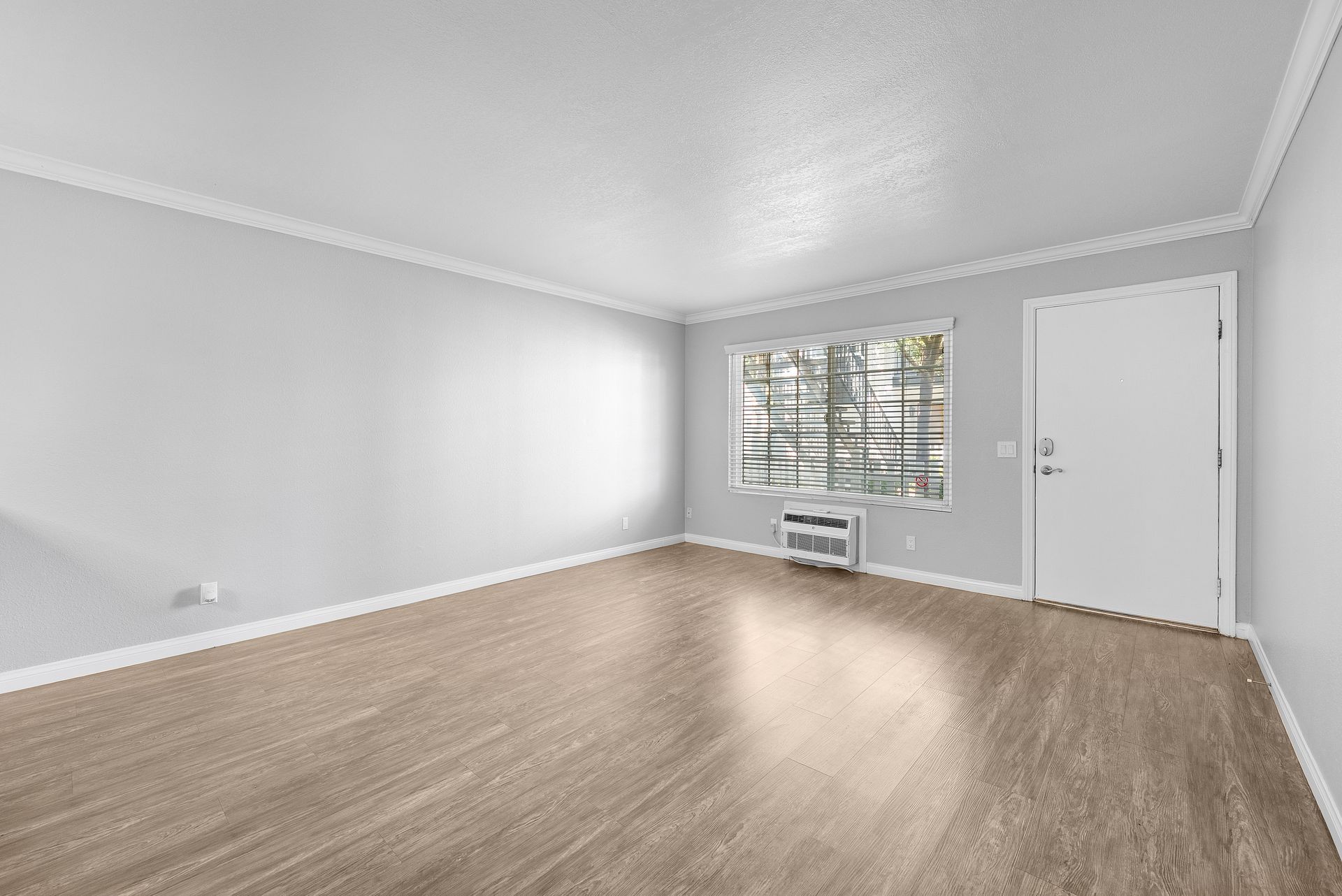 apartment living room and front door