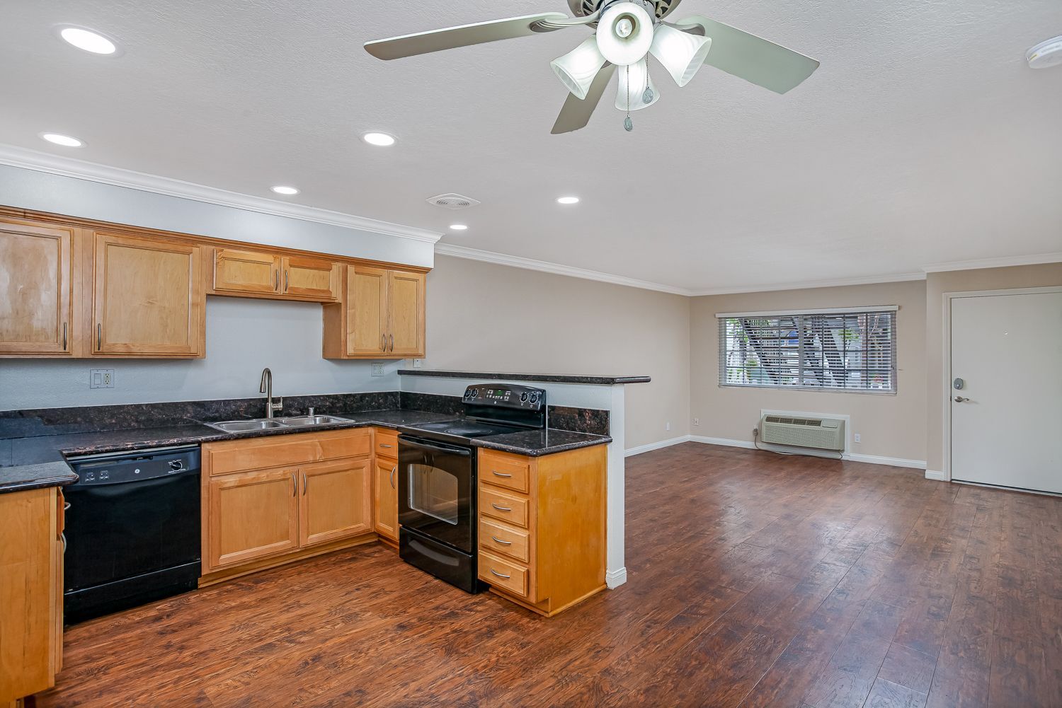 apartment kitchen and living room