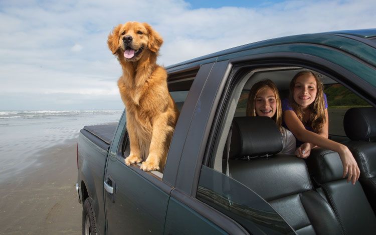 auto insurance