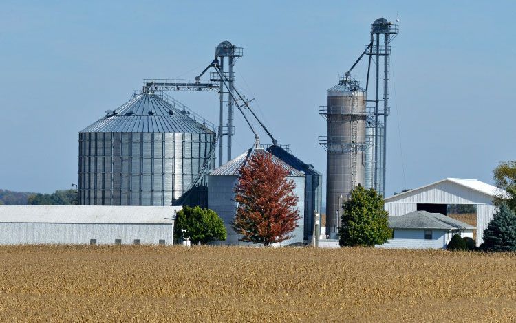 farm insurance