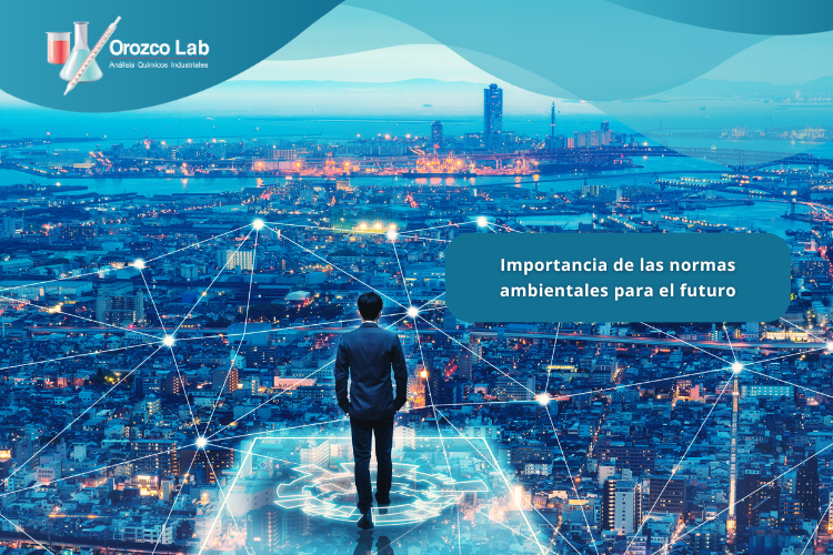Importancia de las normas ambientales para el futuro