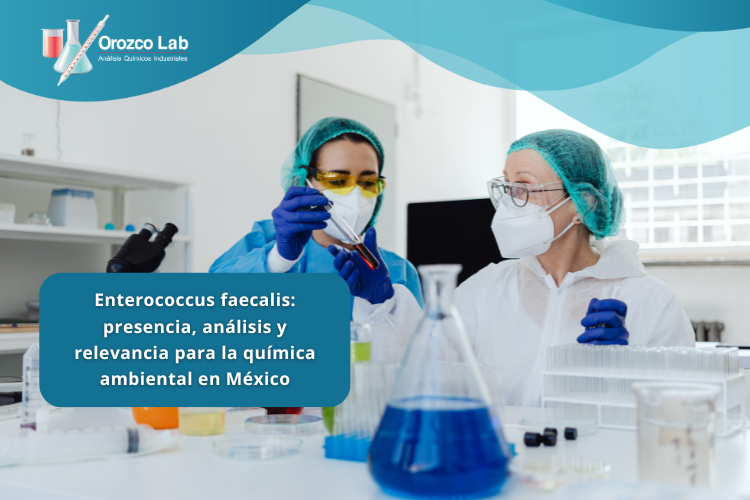 Enterococcus-faecalis Enterococcus faecalis: presencia, análisis y relevancia para la química ambiental en México