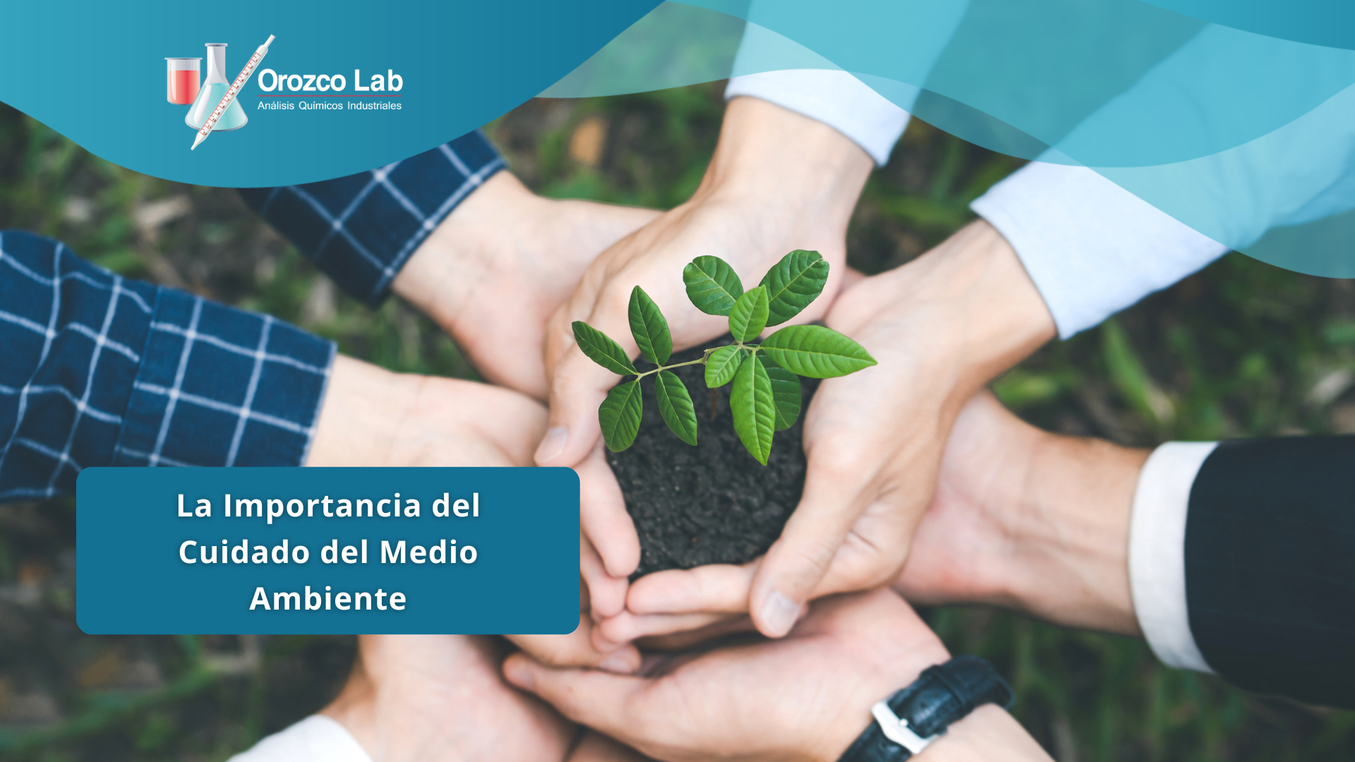 la-importancia-del-cuidado-del-medio-ambiente La Importancia del Cuidado del Medio Ambiente