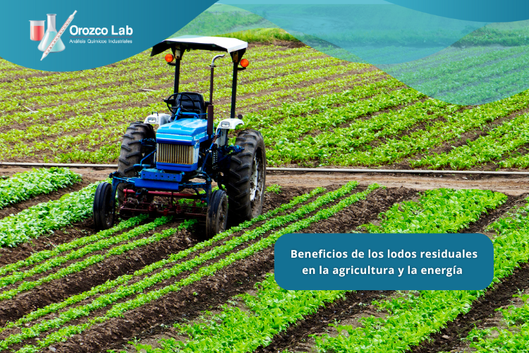 beneficios-de-los-lodos-residuales-en-la-agricultura-y-la-eneergía Beneficios de los lodos residuales en la agricultura y la energía