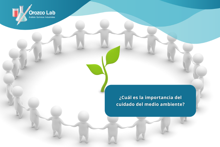¿Cuál es la importancia del cuidado del medio ambiente?
