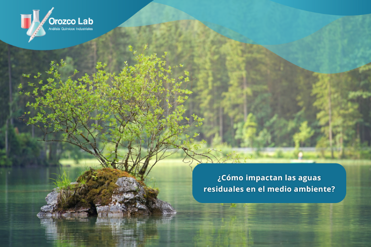como-impactan-las-aguas-residuales-en-el-medio-ambiente ¿Cómo impactan las aguas residuales en el medio ambiente?