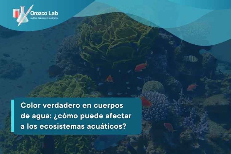 color-verdadero-en-cuerpos-de-agua-como-puede-afectar-a-los-ecosistemas-acuaticos