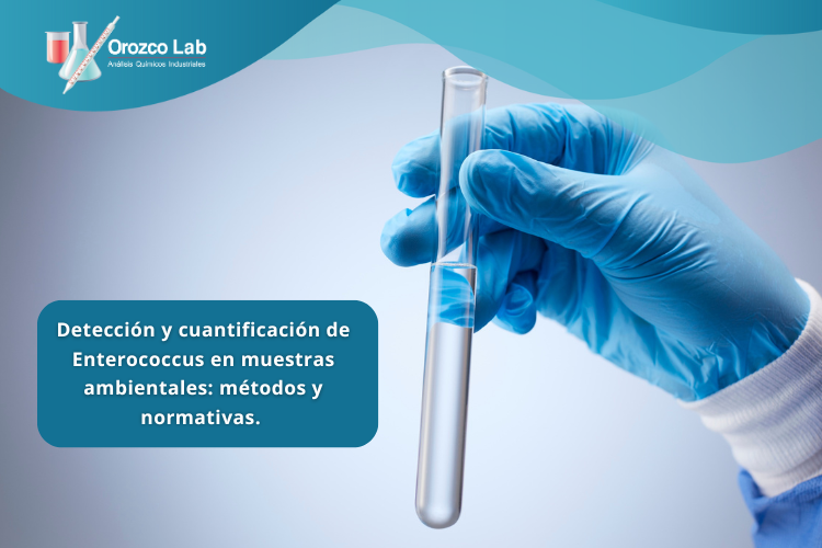 deteccion-y-cuantificacion-de-enterococcus-en-muestras-ambientales Detección y cuantificación de Enterococcus en muestras ambientales: métodos y normativas.