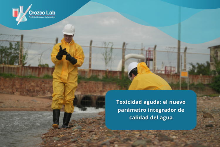 Toxicidad-aguda-el-nuevo-parametro-integrador-de-calidad-del-agua Toxicidad aguda: el nuevo parámetro integrador de calidad del agua