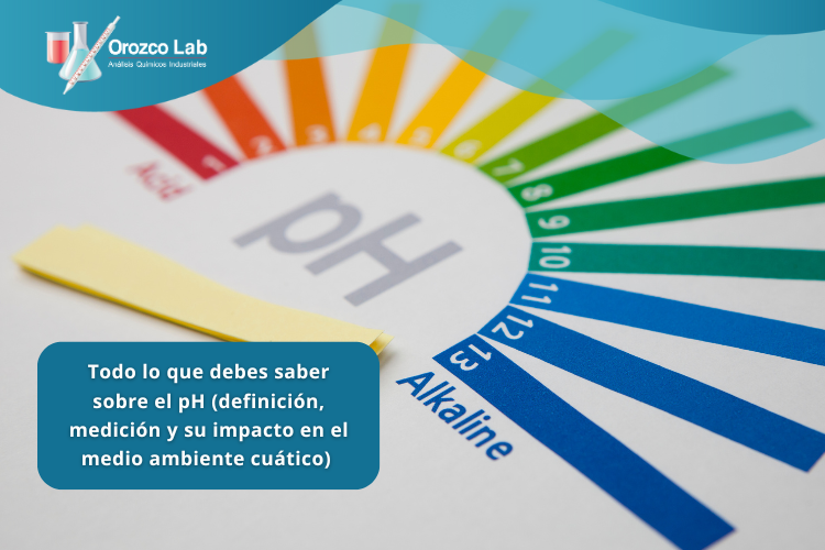 Todo lo que debes saber sobre el pH (definición, medición y su impacto en el medio ambiente cuático) 