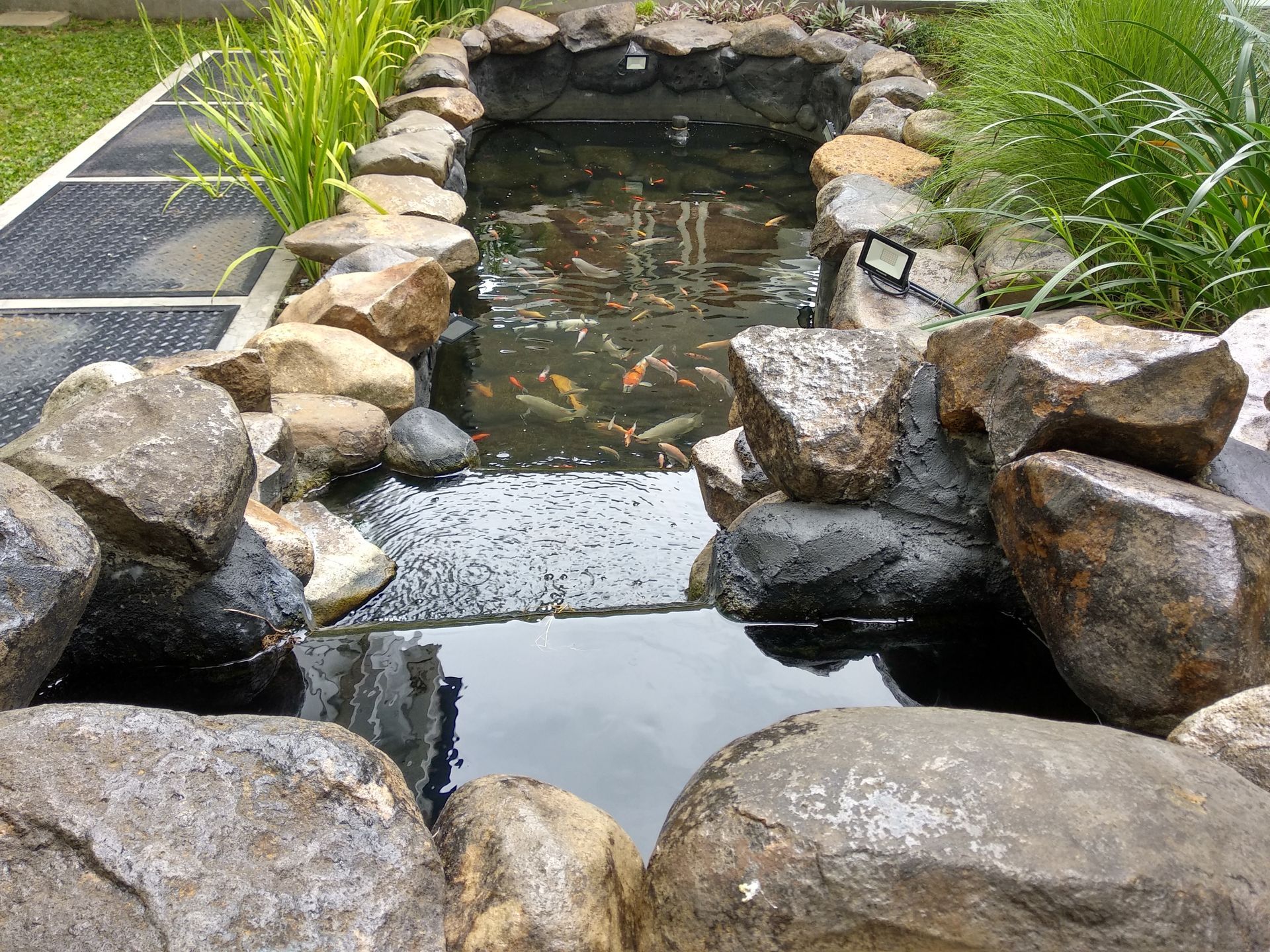 Rock-lined garden pond with koi fish and a small waterfall path over stones