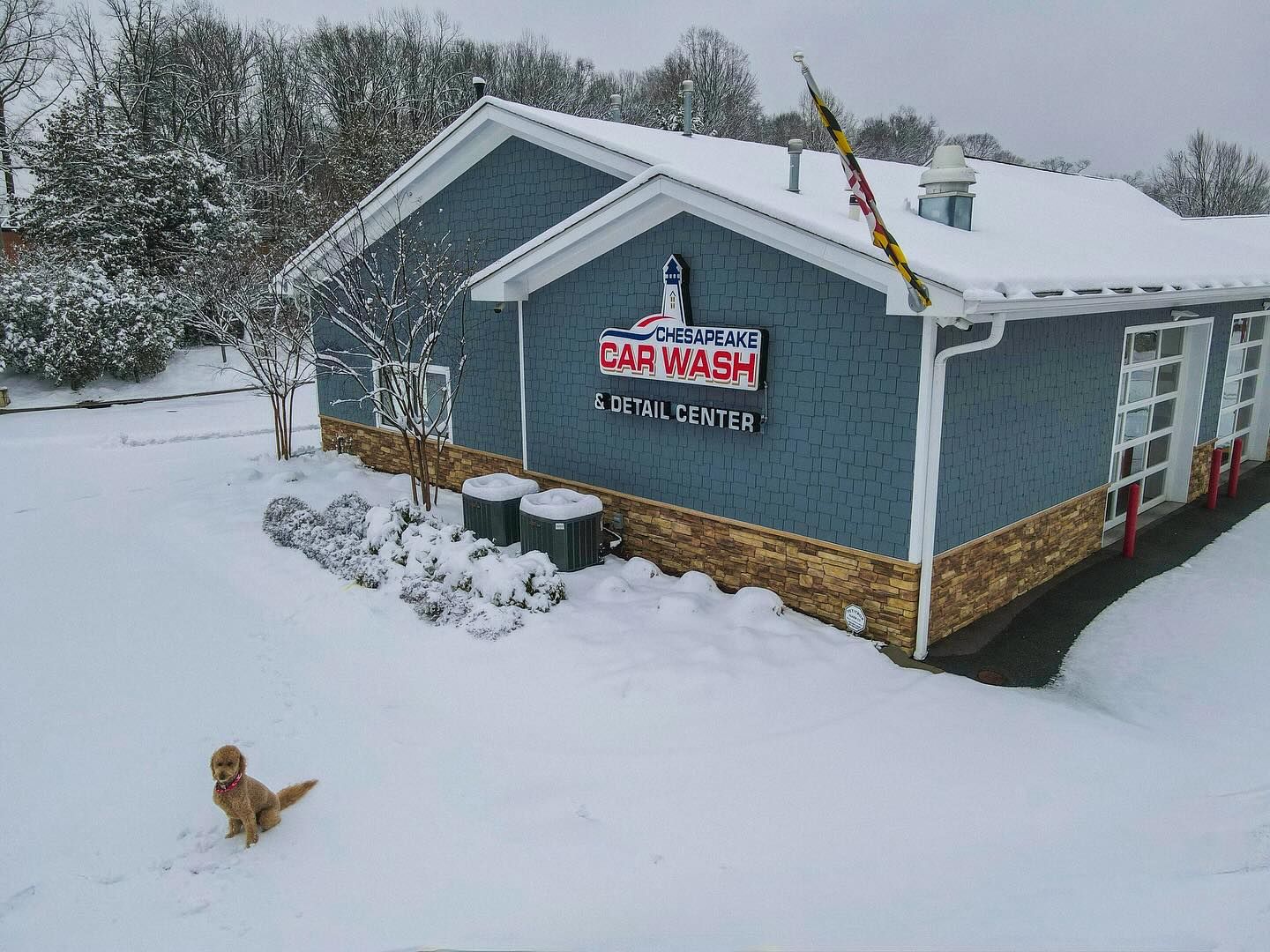 Snow-covered car wash; a golden dog plays in the snow.