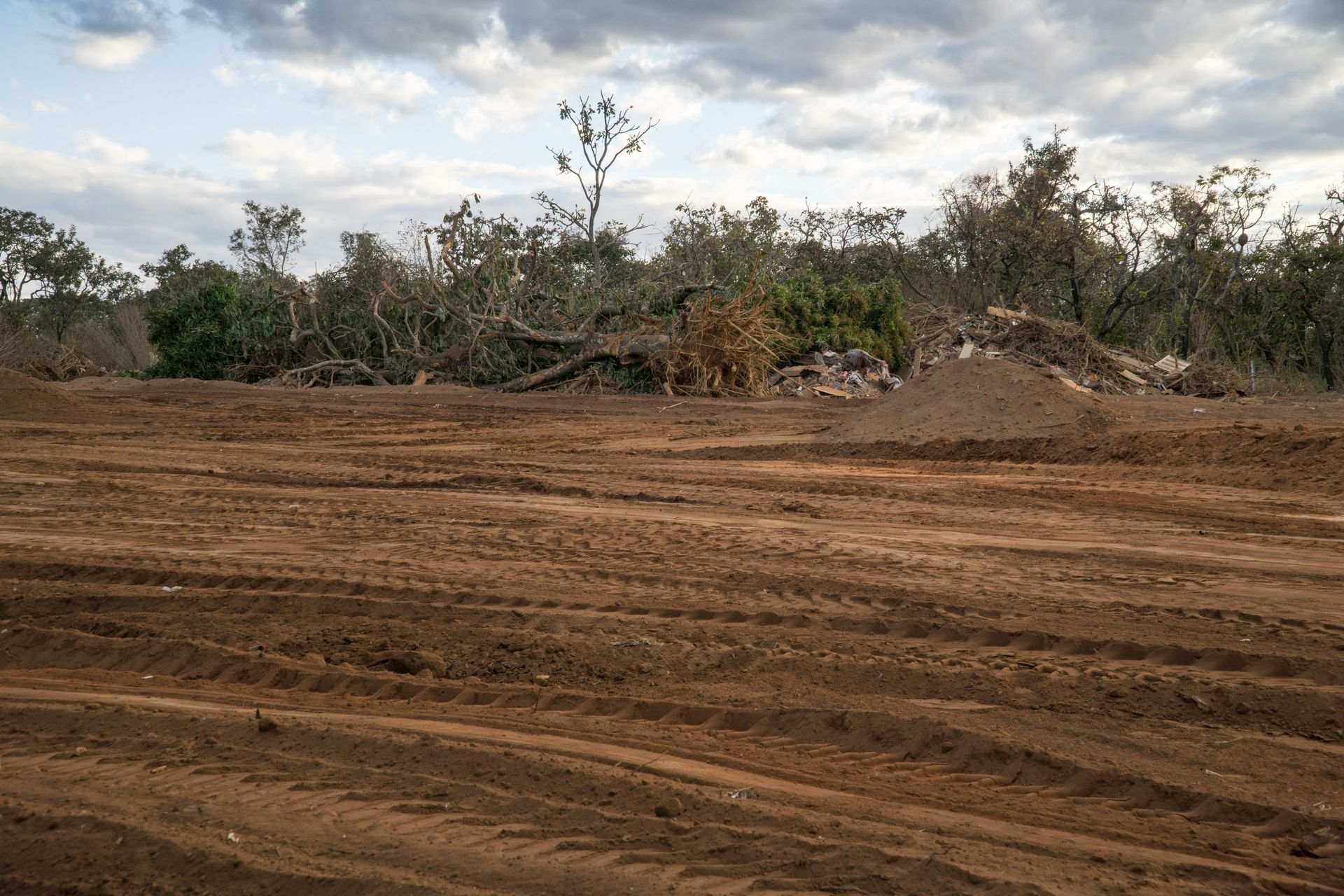 Land clearing Moncks Corner SC