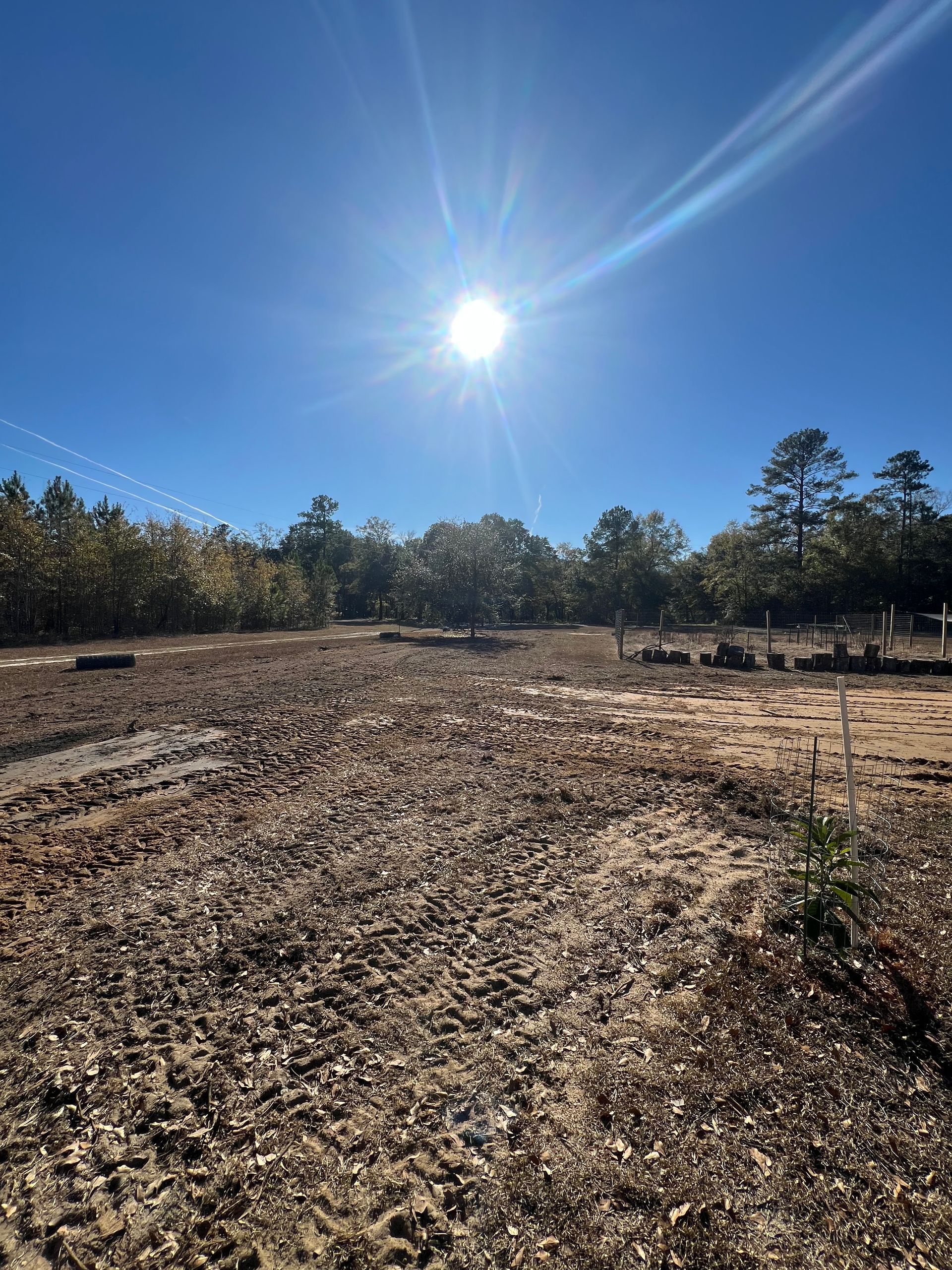 Land clearing Georgetown SC