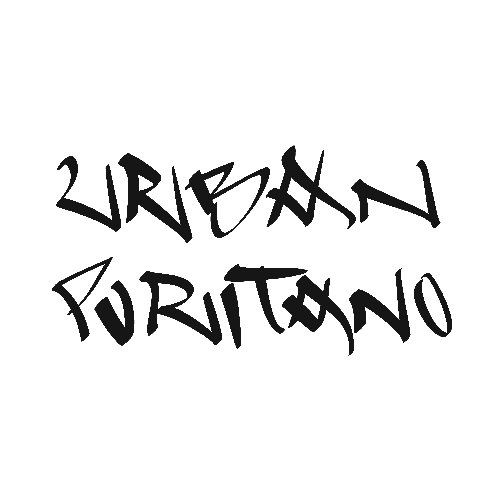 web design Chicago Urban Puritano
