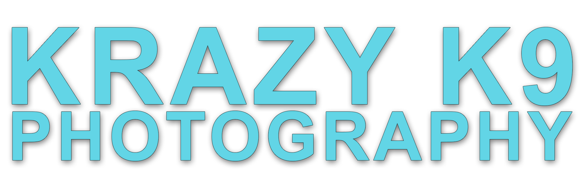 A blue logo for krazy k9 photography on a white background
