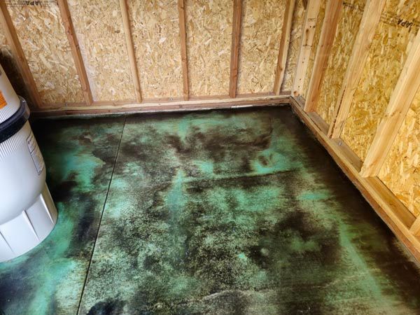 Mold-stained floor in an unfinished room with exposed insulation and wood framing