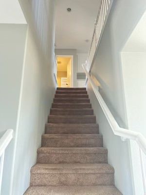 Tru Quality Painting, San Jacinto CA, Hemet CA, Green Acres CA, Winchester CA, Dutch Village CA, Temecula CA, Menifee CA, Sun City Menifee CA, Murrieta CA, Wildomar CA, Canyon Lake CA, Lake Elsinore CA, Perris CA, Mead Valley CA, Lakeview CA, Moreno Valley CA, Banning CA, Beaumont CA, Idyllwild Ca, Valle Vista CA, Painting Contractor Near Me, Painting Company Near Me, Exterior Painting, Exterior Painting Near Me, Stucco Painting, Fence Painting, Siding Painting, Railing Painting, Interior Painting, Interior Painting Near Me, Door Painting, Wall Painting, Ceiling Painting, Trim Painting, Crown Molding Painting, Cabinet Painting, Cabinet Painting Near Me, Repaint Cabinets, Staining, Staining Near Me, Staining Cabinets, Railing Staining, Door Staining, Trim Staining, Epoxy Flooring, Epoxy Flooring Near Me, Epoxy Garage Flooring, Epoxy Garage Flooring Near Me, Floor Coating, Floor Coating Near Me