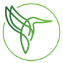 A green hummingbird is flying in a green circle.