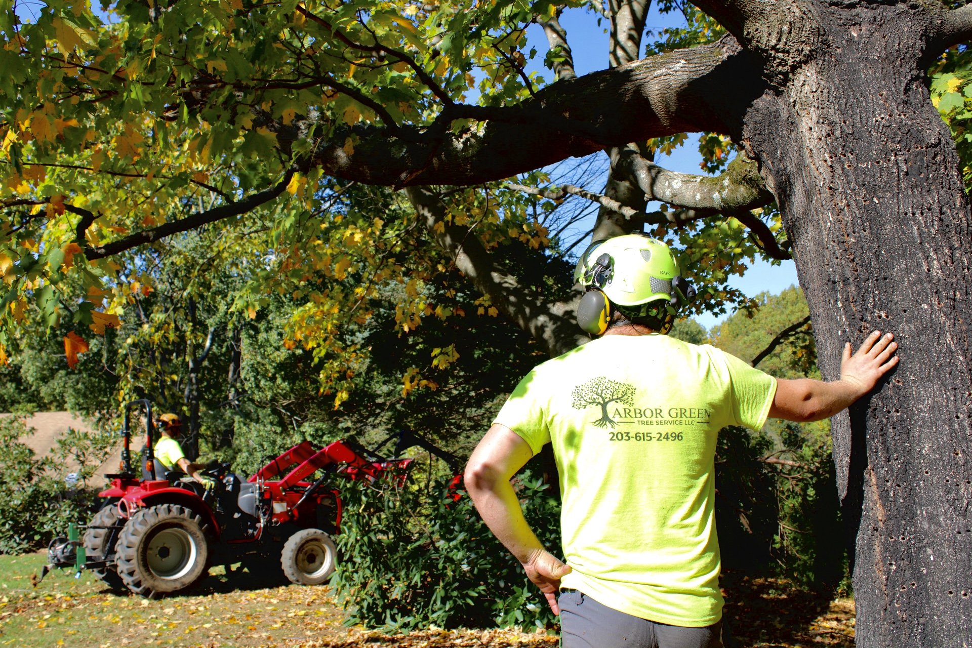 Arbor Green Professional Tree Service Fairfield & New Haven County