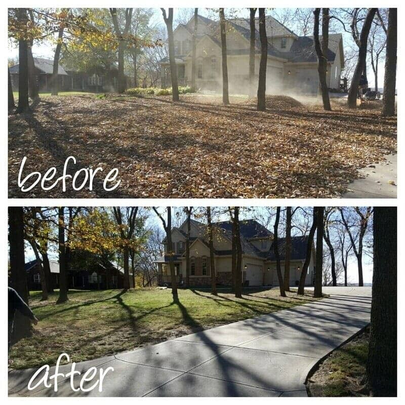Before-and-after of a tree-filled yard with leaves cleared, revealing a driveway and house