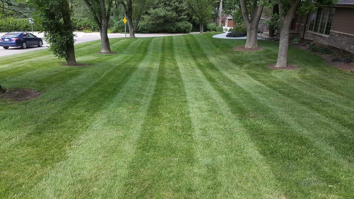 Freshly mowed green lawn with striped patterns beside a tree-lined street.