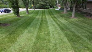 Freshly mowed green lawn with striped patterns beside a tree-lined street.