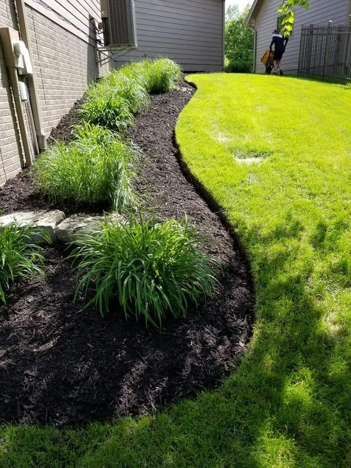 Curved garden bed with dark mulch and green ornamental grasses beside a bright lawn and house wall