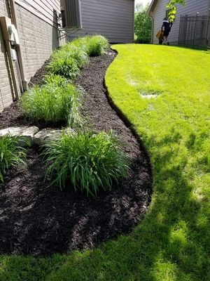 Curved garden bed with dark mulch and green ornamental grasses beside a bright lawn and house wall