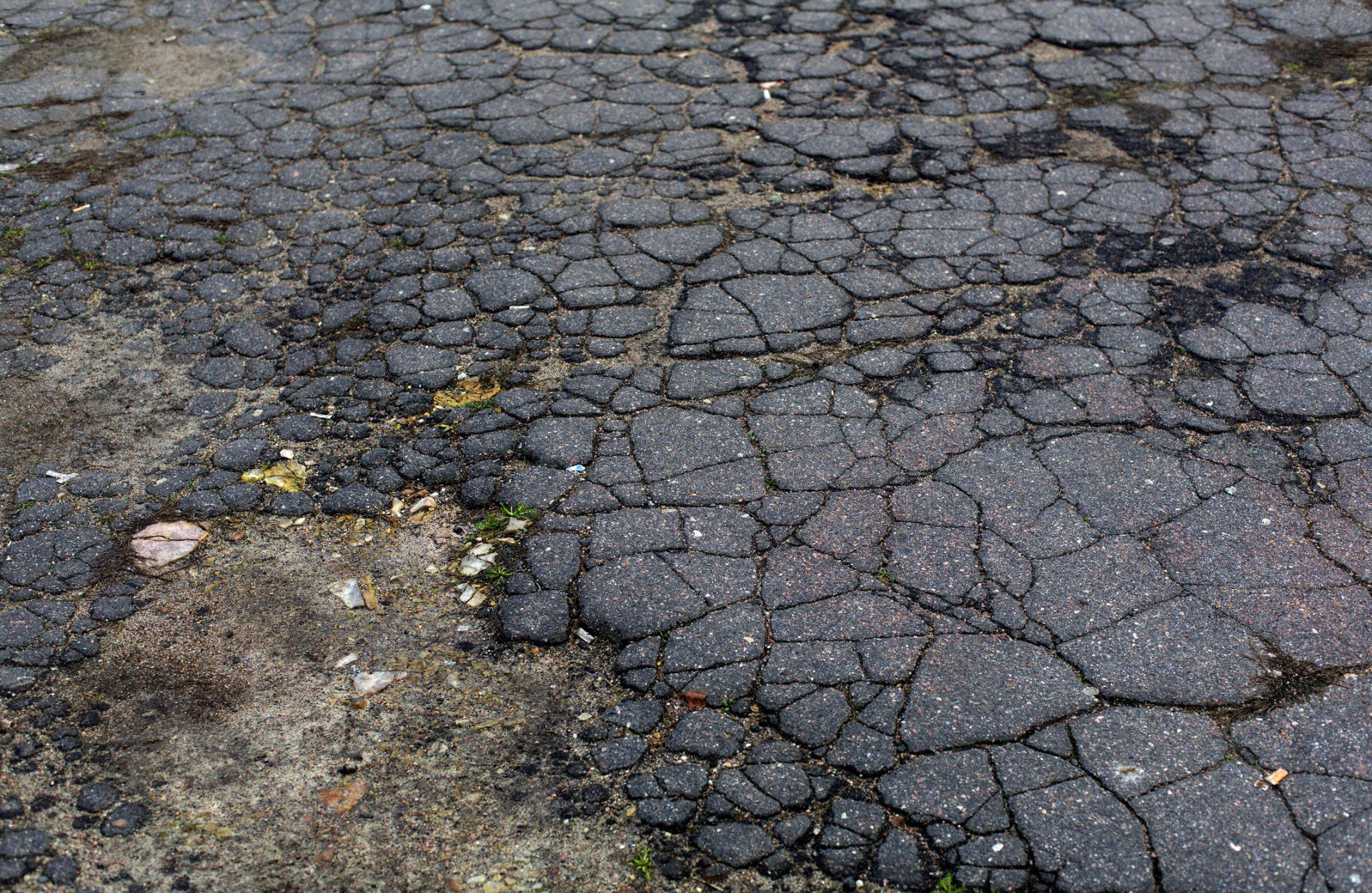 Cracked asphalt road surface - Wendell, NC - Champ's Paving & Seal Coating INC