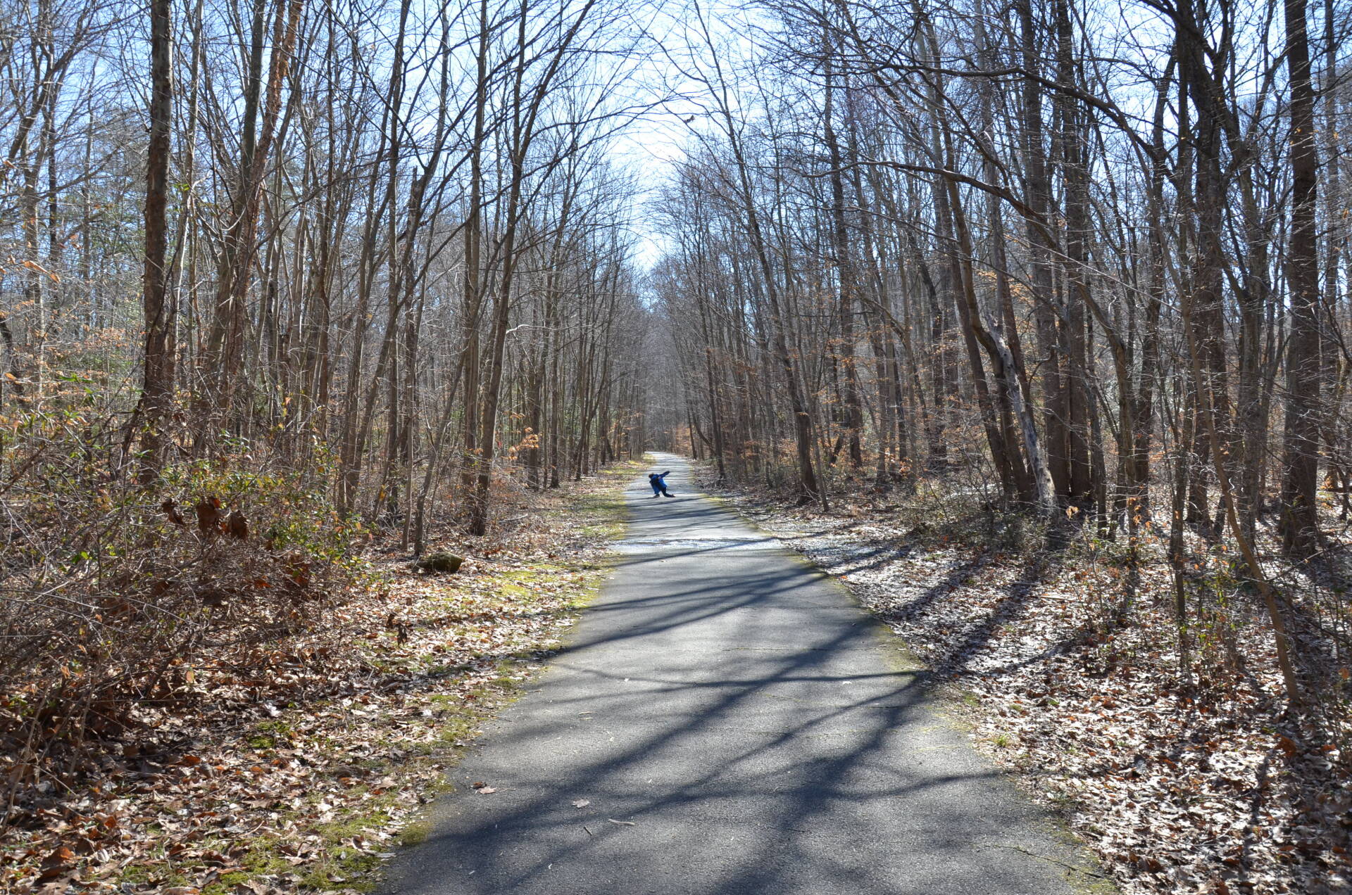 New pathway and beautiful trees track - Wendell, NC - Champ's Paving & Seal Coating INC