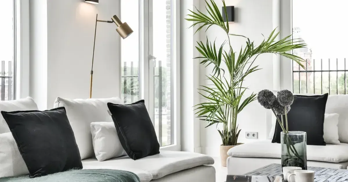 Bright modern living room with gray sofa, black cushions, plants, and a tall lamp by large windows Bright modern living room with gray sofa, black cushions, plants, and a tall lamp by large windows