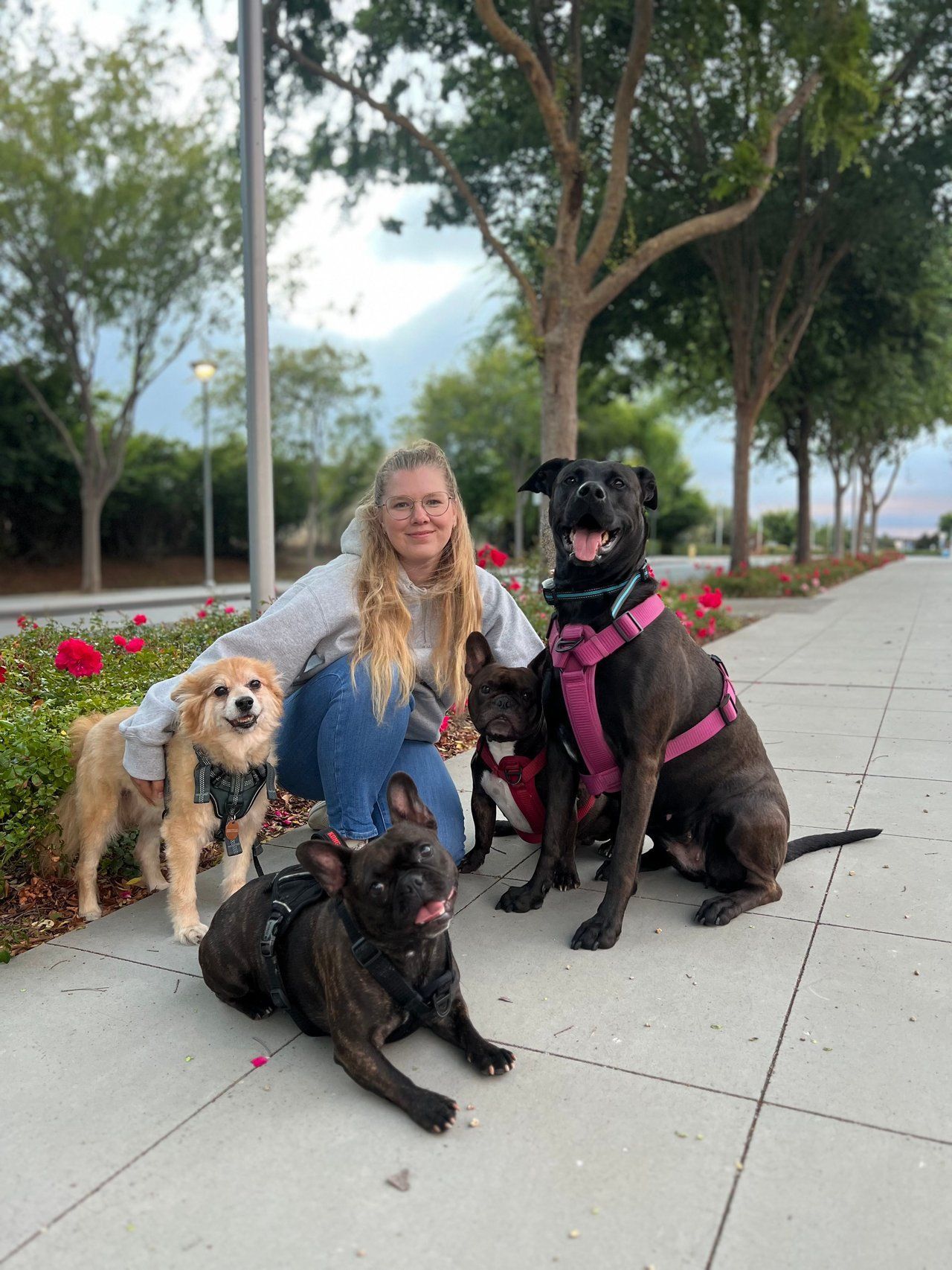 Woman posing with four dogs on a sidewalk in a park, including a black dog in a pink harness.