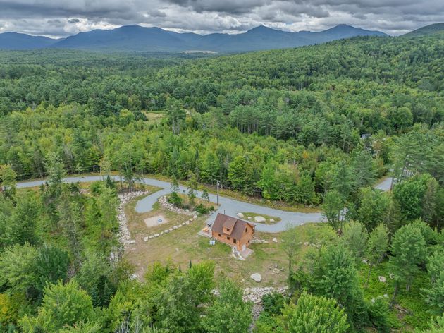 Cabin nestled in a lush green forest with mountains in the background under a cloudy sky.