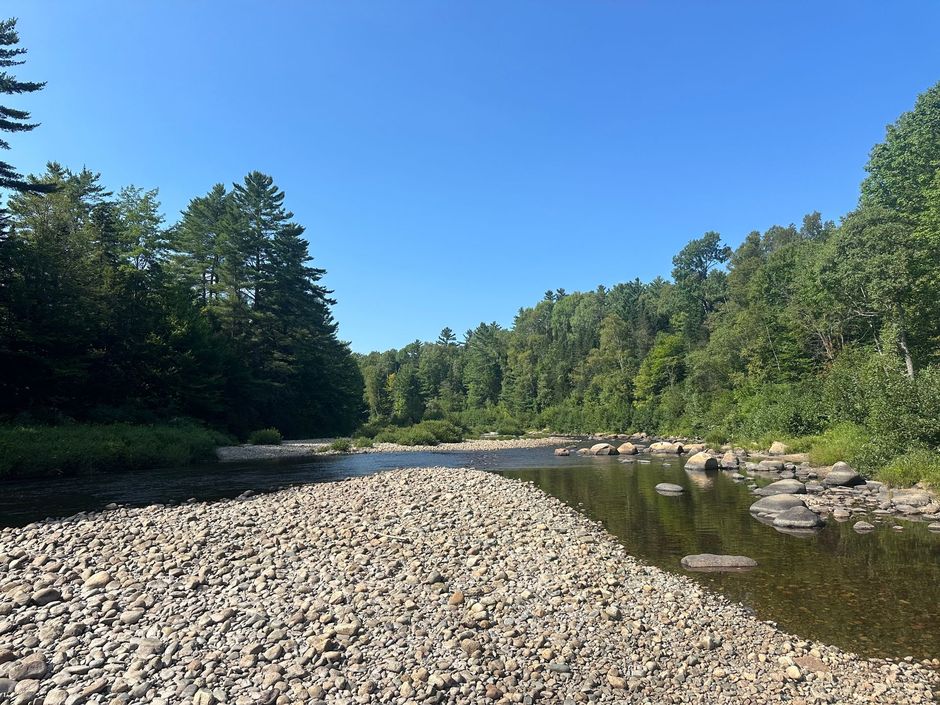 A rocky riverbed leads into a calm river, flanked by green trees under a clear blue sky.