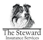 The Steward Insurance Services The Steward Insurance Services